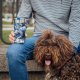 Quokka Quokka Boost Coffee Tumbler - Kubek termiczny ze stali nierdzewnej z zaparzaczem 400 ml (Abstract) 1