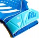Adidas RĘKAWICE BRAMKARSKIE TRENINGOWE ADIDAS PREDATOR IA0876 1