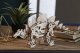 UGEARS UGEARS Składany Drewniany Model 3D - Stegozaur 13
