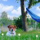 Retoo ELEKTRYCZNY PASTUCH DLA PSA KOJEC OGRODZENIE FENCE 4