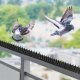 Kadax Kolce Na Ptaki Gołębie Przeciw Ptakom Gęste 50 cm 3