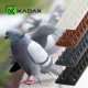 Kadax Kolce Na Ptaki Gołębie Mocne Najgęstsze 20szt 10M 9