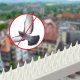Kadax Kolce Na Ptaki Gołębie Gęste Plastikowe 10szt 5M 2