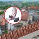 Kadax Kolce Na Ptaki Gołębie Mocne Najgęstsze 20szt 10M 2