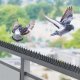 Kadax Kolce Na Ptaki Gołębie Mocne Najgęstsze 20szt 10M 3