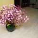 PrzydaSie Kwiaty Sztuczne W Doniczce Kwiat Orchidea Doniczka 3