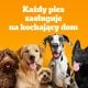 Pedigree Professional Adult 12 kg 7