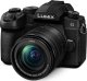 Aparat Panasonic Lumix DC-G91 + G Vario 12-60mm f/3.5-5.6 OIS (DC-G91MEG-K) 1