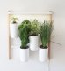 Pret a Pousser Pret a Pousser Modulo 2 incl. 4 Pots + 4 Pods 10