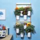 Pret a Pousser Pret a Pousser Modulo 2 incl. 4 Pots + 4 Pods 12