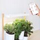 Pret a Pousser Pret a Pousser Modulo 2 incl. 4 Pots + 4 Pods 3