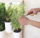 Pret a Pousser Pret a Pousser Modulo 2 incl. 4 Pots + 4 Pods 5