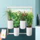 Pret a Pousser Pret a Pousser Modulo 2 incl. 4 Pots + 4 Pods 6