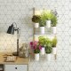 Pret a Pousser Pret a Pousser Modulo 2 incl. 4 Pots + 4 Pods 7