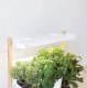 Pret a Pousser Pret a Pousser Modulo 2 incl. 4 Pots + 4 Pods 9