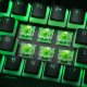 Glorious PC Gaming Race Glorious Raptor Switch, mechanisch, 5-Pin, clicky, MX-Stem, 55g - 36 Stück 6