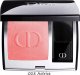 Dior DIOR LONG-WEAR POWDER BLUSH ACRTICE 6,7G 3