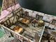 Battle Systems Ltd BattleSystems: Tavern 4