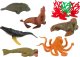Figurka LeanToys Zwierzęta Morskie Ryby Zestaw Figurki W Pudełku Akcesoria 24 szt. 1