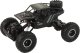LeanToys Pojazd RC Rover 1:16 Auto Czarne Zdalnie Sterowane Na Pilot 2