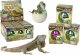 LeanToys Wykluwające się Magiczne Jajko Jaszczurka Rosnące 6 cm 1