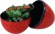 Figurka LeanToys Jajo Figurka Dinozaura 3 Kolory 9cm 3