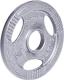 inSPORTline Obciążenie stalowe Hamerton 1,25kg 30mm - 12708 1