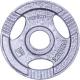 inSPORTline Obciążenie stalowe Hamerton 1,25kg 30mm - 12708 1