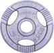 inSPORTline Obciążenie stalowe Hamerton 2,5kg 30mm - 12709 1