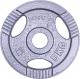 inSPORTline Obciążenie stalowe Hamerton 5kg 30mm - 12710 1