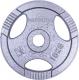inSPORTline Obciążenie stalowe Hamerton 10kg 30mm- 12711 1