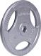 inSPORTline Obciążenie stalowe Hamerton 20kg 30mm - 12713 1