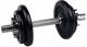 inSPORTline ‎‎Hantel żeliwny 1 x 10 kg 1
