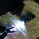 Nils Extreme NC0001 LATARKA LED 300 LM NILS CAMP 5