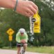 GU Roctane Energy Gel Lemonade   (24/10) 2
