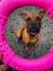 Triton Kiwi Walker Let's Play Ring Maxi niebieski 10