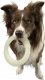 Triton Kiwi Walker Let's Play Glow Ring Maxi 3