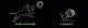 Triton Kiwi Walker Let's Play Glow Ring Maxi 5