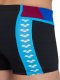 Arena Męskie Bokserki kąpielowe MEN'S ARENA ICONS SWIM SHORT PANEL 2