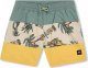 O Neill Dziecięce Szorty Mix & Match CALI BLOCK 13'' Swim Shorts (4800071-37530) 1