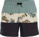 O Neill Męskie Szorty MIX & MATCH CALI BLOCK 15'' SWIM SHORTS 1