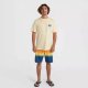 O Neill Męska Koszulka z krótkim rękawem O'NEILL BEACH GRAPHIC T-SHIRT 5