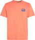 O Neill Męska Koszulka z krótkim rękawem O'NEILL BEACH GRAPHIC T-SHIRT 3