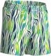Arena Męskie Szorty MEN'S ARENA WATER PRINTS BEACH SHORT AO 8