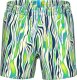 Arena Męskie Szorty MEN'S ARENA WATER PRINTS BEACH SHORT AO 6