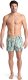 Arena Męskie Szorty MEN'S ARENA WATER PRINTS BEACH SHORT AO 2