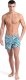 Arena Męskie Szorty MEN'S ARENA WATER PRINTS BEACH SHORT AO 1