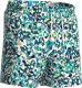 Arena Męskie Szorty MEN'S ARENA WATER PRINTS BEACH SHORT AO 5