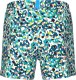 Arena Męskie Szorty MEN'S ARENA WATER PRINTS BEACH SHORT AO 7