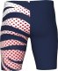 Arena Męskie Bokserki kąpielowe MEN'S ARENA MULTI STRIPES SWIM JAMMER 5